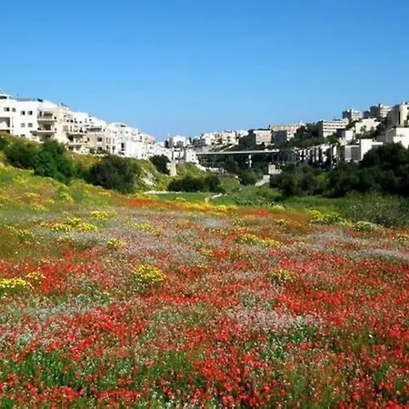 Modern 1br With Private Balcony In St Julians By 360 Estates *